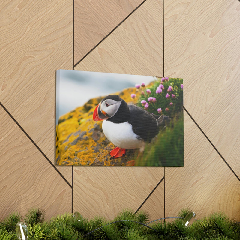 No Frame Print on Canvas, 30.48cm H x 40.64cm W