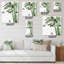Horloge murale Palm-1410557327