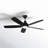 Melva 52'' Ceiling Fan with LED Lights-1882266758