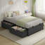  Platform Twin Size Bed Frame with 2 Large Storage Drawers,Heavy Duty Steel Slats, Dark Grey & Black