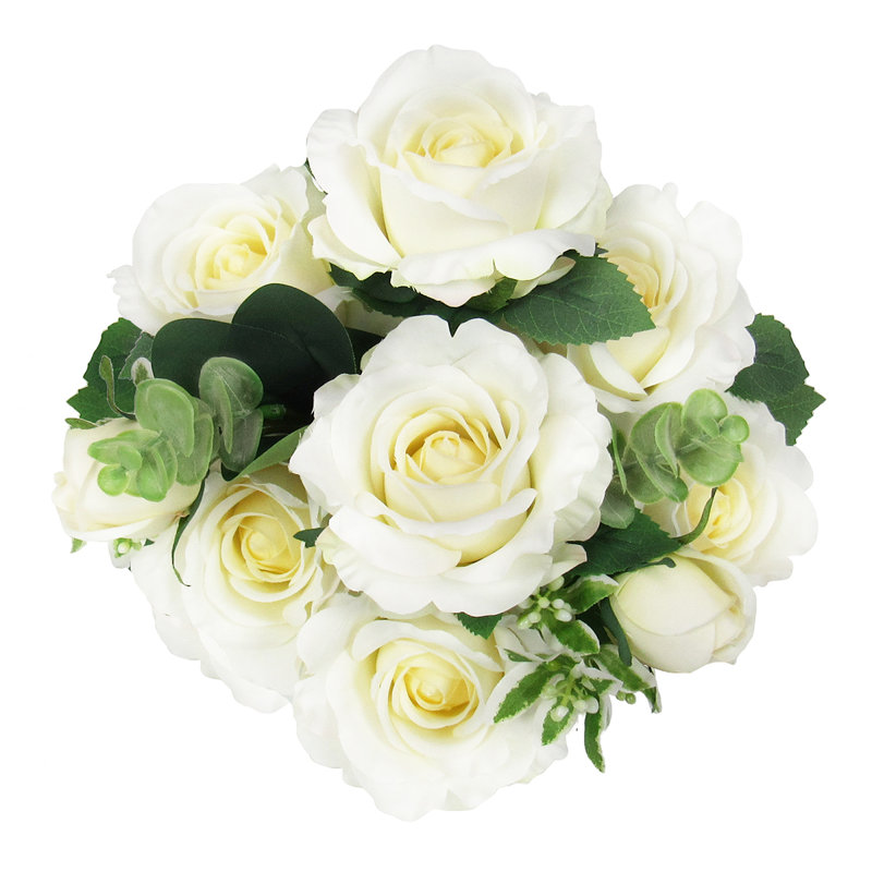 Rosier, Crème / blanc