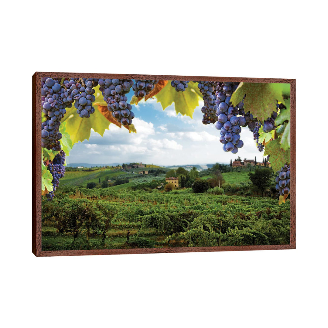 Vineyards In San Gimignano Italy by Susan Schmitz - Print on Canvas