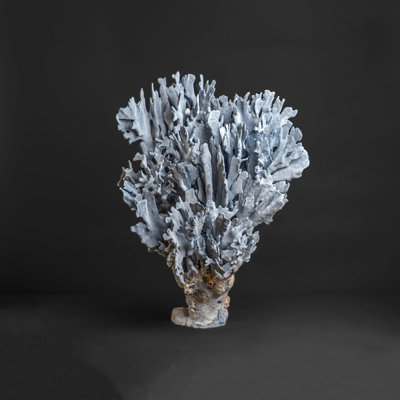 Genuine Blue Ridge Coral (25", 24 Lbs)