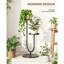 Plant Stand