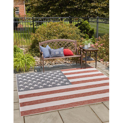 Indoor / Outdoor Area Rug