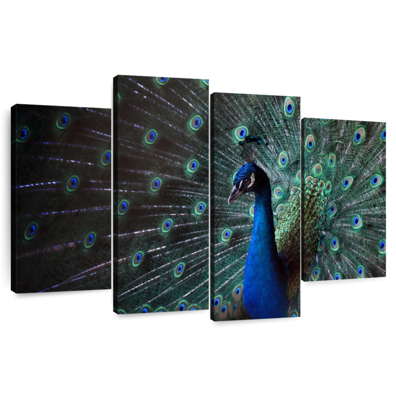 Brampt Glorious Blue Peacock, 54" H x 84" W
