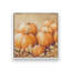 «Pumpkin Patch» par Dogwood-534503828-534503818-534503839