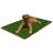 Premium Indoor/Outdoor Artificial Pet Turf Rug - 3'3"x5"-111656777