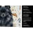 Black Pomeranian Coffee Bar Kitchen Towel-1168062710