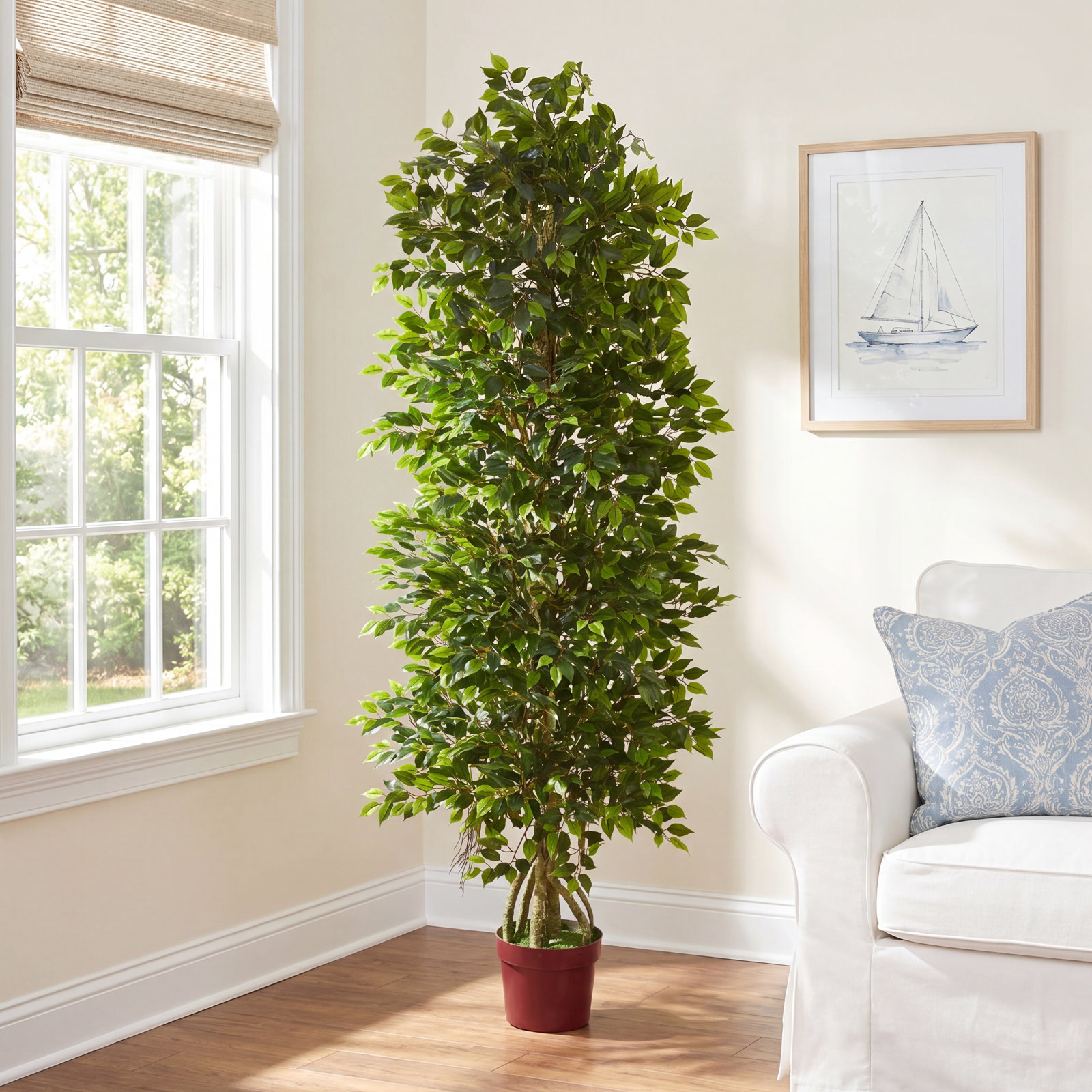 72" Ficus Tree in Pot