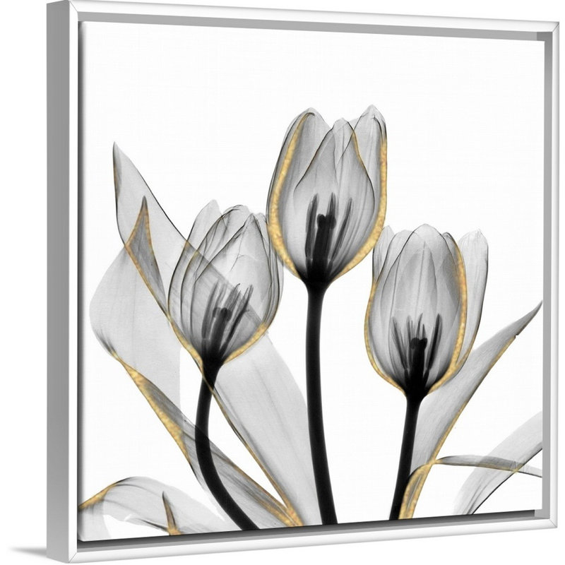 Reproduction d’art sur toile dorée ornée de tulipes 5 par Albert Koetsier, Cadre blanc, H 22 po x l 22 po x P 1,75 po