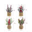 Ensemble d'arbre de Noël rustique 9 po Rustic