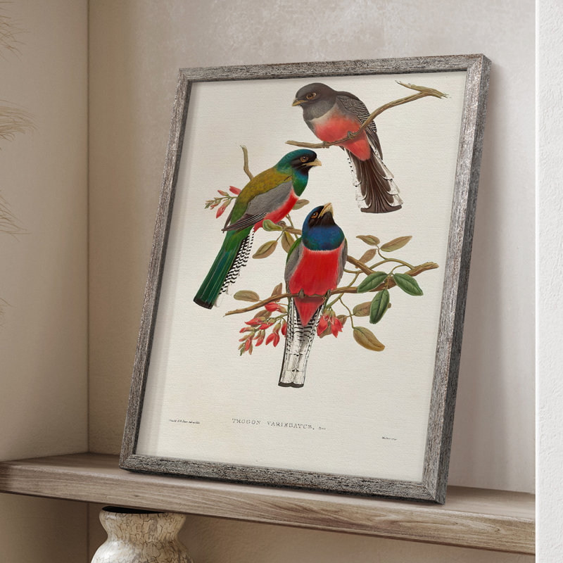 ElegantTrogonsIX Framed Print - Solid Wood, 21" H x 17" W