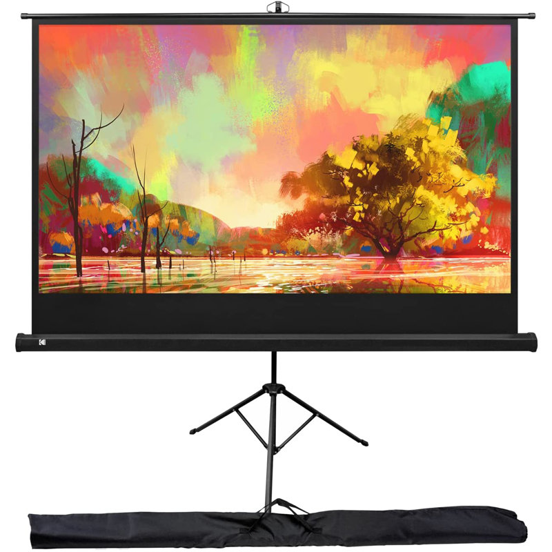 Écran de projection trépied portable blanc 30 po x 53 po