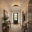 18.9''(W) 5 - Light Flush Mount Chandelier Ceiling Light