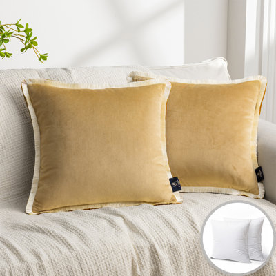 Velvet Throw Pillows with Contrast Tassel Trim, Decorative Accent Cushion Case