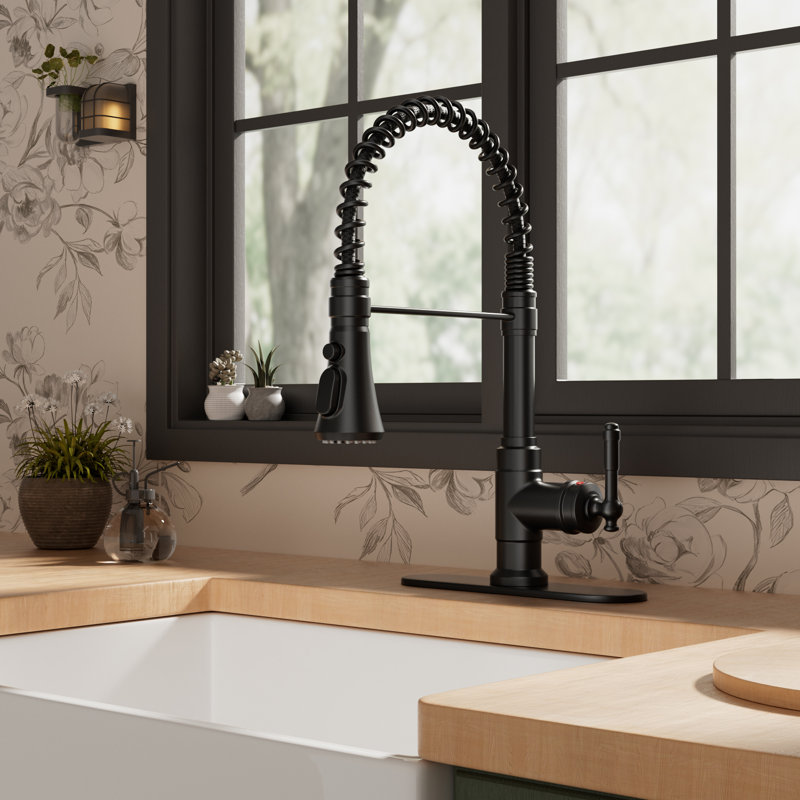 Robinet de cuisine rétractable à poignée simple avec plaque de pont, Noir mat