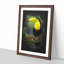Resting Toucan - Picture Frame Graphic Art Print-56857424-56857425