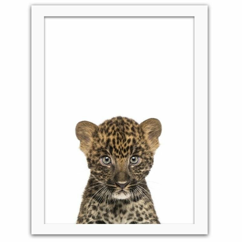 Gerahmtes Poster Kleiner Leopard