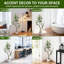 152cm Plant-1687203993