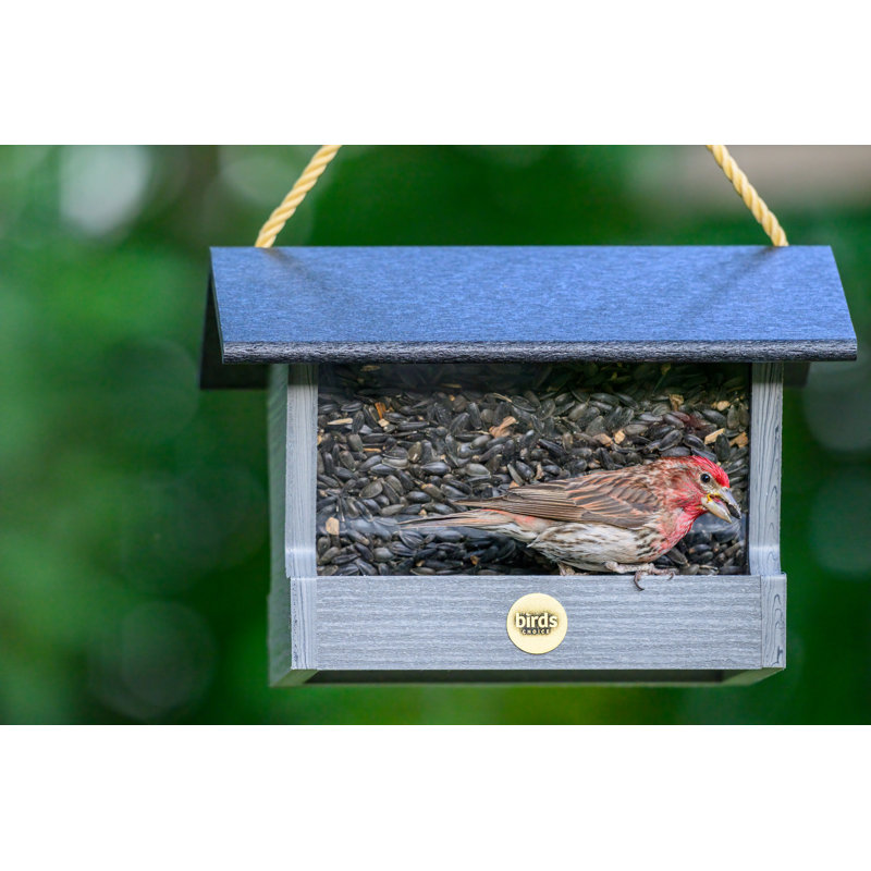 Mangeoire à oiseaux suspendue Birds Choice, Bois flottant