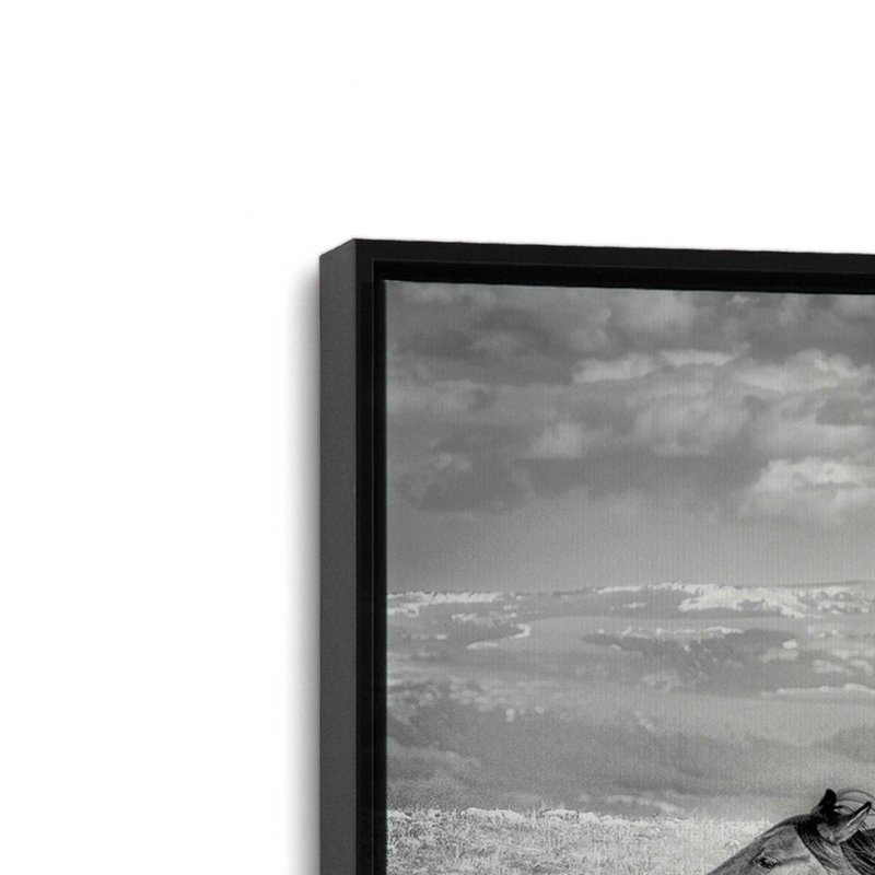 Ensemble de 2 impressions sur toile Free Spirits, Cadre flottant noir satiné, H 9 po x l 26 po x P 1,75 po