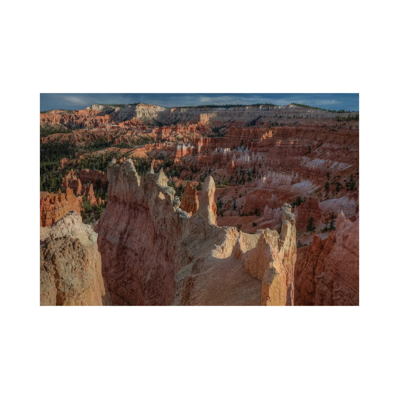 Standing Out In A Crowd by Bill Sherrell - Wrapped Canvas Print, 101.6 cm H x 66.04 cm W x 1.91 cm D