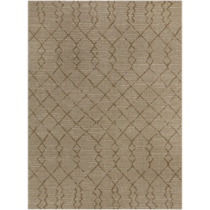 Marelys Brown Boho Moroccan Indoor/Outdoor Area Rug, Rectangle 5'3" x 7'