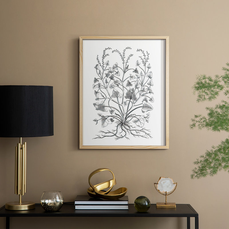 «B&W Plant Speciment», reproduction encadrée - bois massif, H 30 po x l 24 po