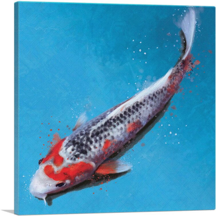 ARTCANVAS Asagi Koi Carp Fish Japan China Asia Framed On Canvas