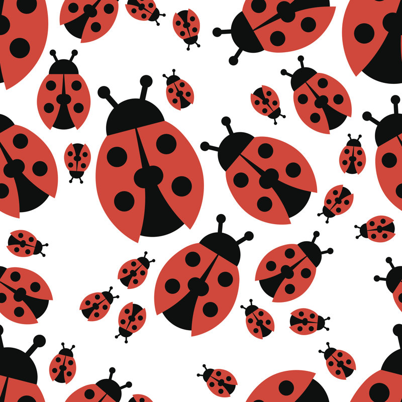 Ladybird - Wrapped Canvas Print, 51cm H x 51cm W x 3.8cm D