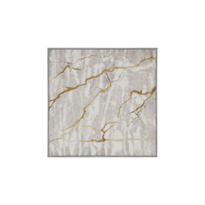 Machine Washable Gray Area Rug