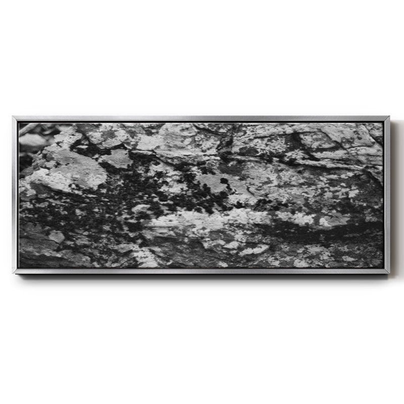 Found Textures XX- Framed Canvas