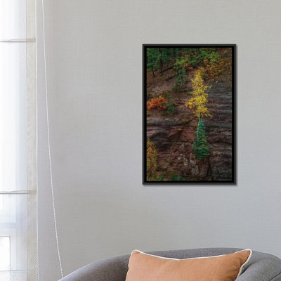 " Beautiful Tenacity " by Bill Sherrell