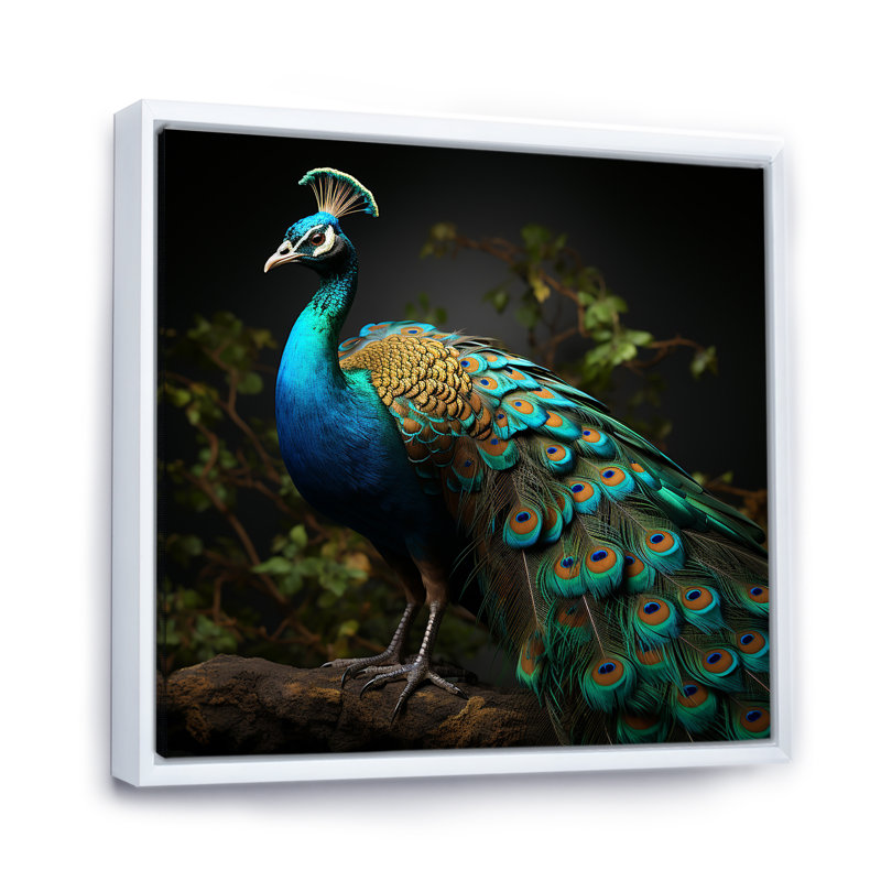 «Peacocks Graceful Elegance III», reproduction sur toile, H 16 po x l 16 po x P 1 po, Cadre flottant blanc