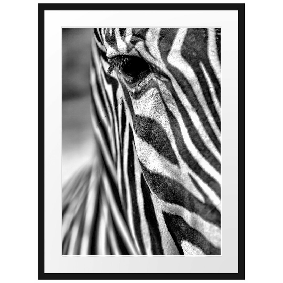 Gerahmtes Poster Zebra Nahaufnahme