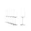 402ml Flute Set