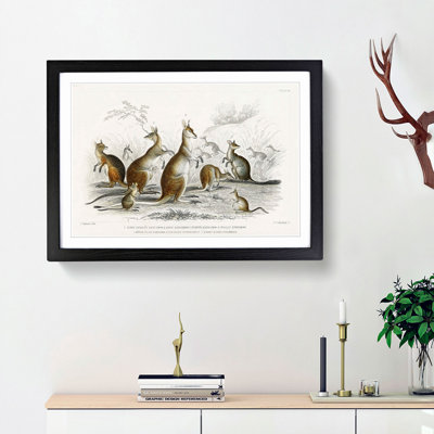 Kangaroos by Oliver Goldsmith - Picture Frame Graphic Art Print