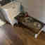 Customer photo 2 of 2