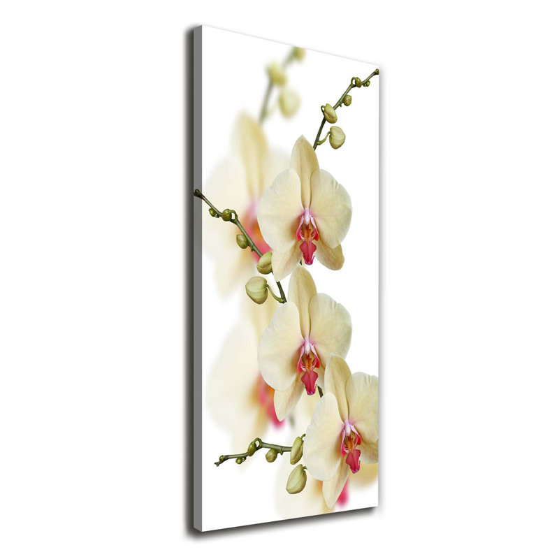 Orchid - Wrapped Canvas Print