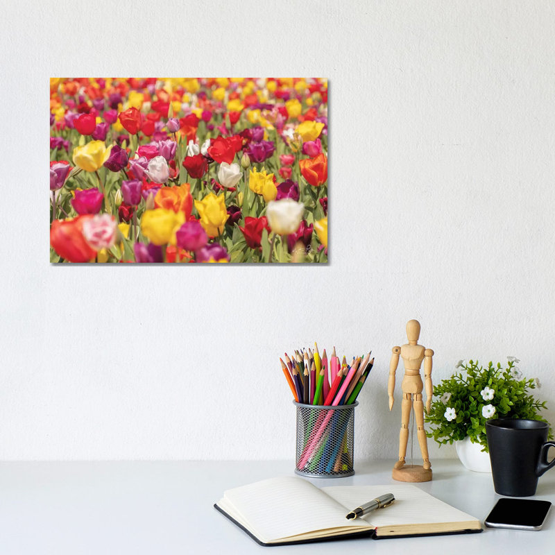 Colourful Bouquet by Martin Podt - Wrapped Canvas Print, 20.32 cm H x 30.48 cm W