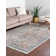 Kaleigh Oriental Indoor Rug