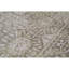 Oriental Area Rug