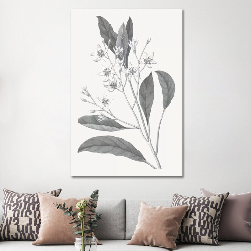 Neutral Botanical V - Wrapped Canvas Painting, 152.5 cm H x 101.5 cm W