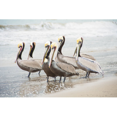 " Pacific Cool IV Crop " by Elizabeth Urquhart