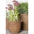 Misael Fibreglass Planter-14486346