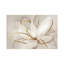 Transparent Transparent III '- imprimé-119606755-52365287-52365288