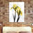 " Iris "-23605019
