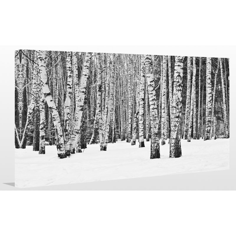 «Birch Trees in Winter», reproduction de photo sur toile tendue, H 18 po x l 30 po x P 1 po