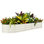 Lit de jardin surélevé en acier galvanisé 8 × 2 × 1,5 pi, boîte à fleurs d'extérieur résistante à la rouille pour légumes, herbes et fleurs